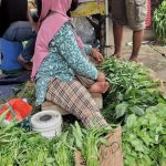 Harga sayuran di kota Bekasi kreatif