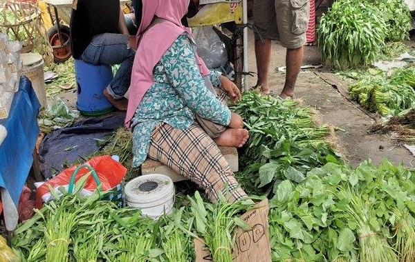 Harga sayuran di kota Bekasi kreatif